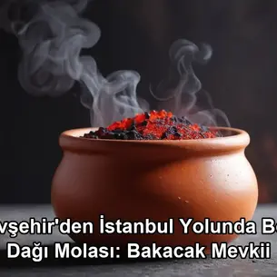 Nevşehir İstanbul yolunda mola - Bolu Dağı Bakacak Mevkii