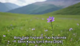 Bolu Dağı yaylaları - kapak görseli