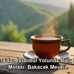 Adana İstanbul yolunda mola - Bolu Dağı Bakacak Mevkii et mangal