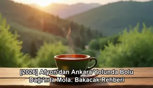 Afyon Ankara yolunda Bolu mola - kapak görseli
