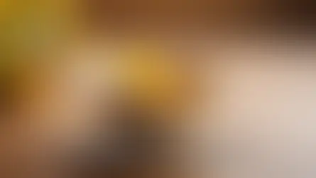 Bolu ormanları şifalı bitkiler - Bolu Dağı İbrahimin Yeri