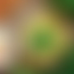 Taze otlar ve köy yumurtasıyla hazırlanmış otlu yumurta, İbrahim’in Yeri Bolu Dağı mutfağında servis edilmiş.