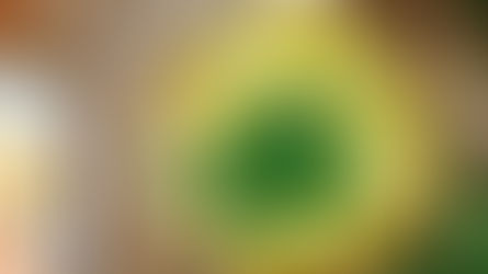 Taze otlar ve köy yumurtasıyla hazırlanmış otlu yumurta, İbrahim’in Yeri Bolu Dağı mutfağında servis edilmiş.