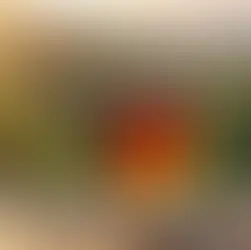 Akyurt İstanbul yolunda Bolu mola - Bakacak Mevkii