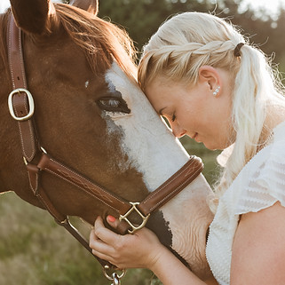 Tiershooting Pferd Herscheid