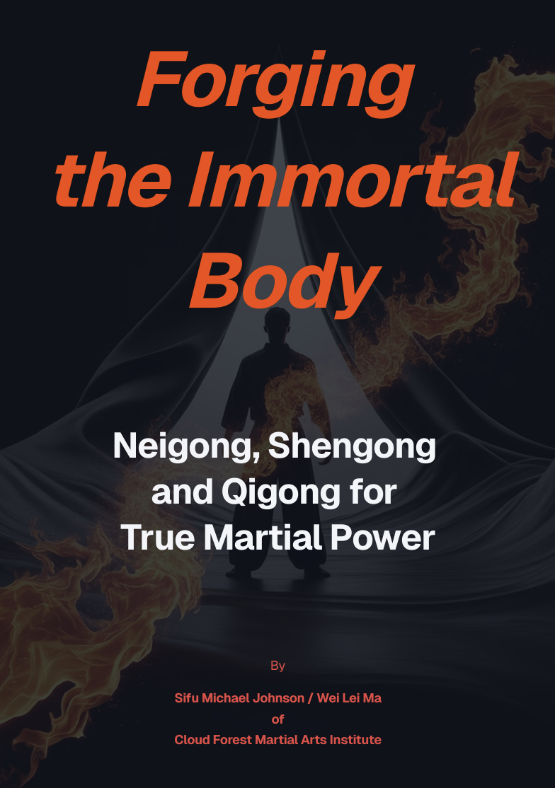 Forging the Immortal Body ebook cover