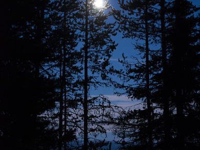 Yellowstone Nights