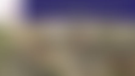 The Battle of Olustee With ( James Cosgrove )