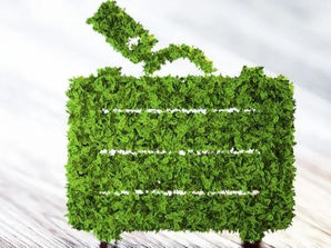 Plongez dans le Monde du Tourisme Vert : Vivez des Vacances Durables !
