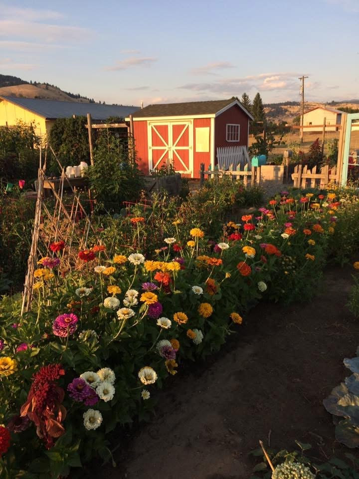 Community Garden Revitalizes its Roots