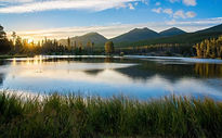 Stillness
