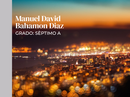 La contaminación ambiental en Bogotá