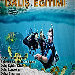 Serbest Dalis Subat Mart 2003 Nadir Kitap