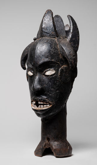 Eloi ejagham head crest