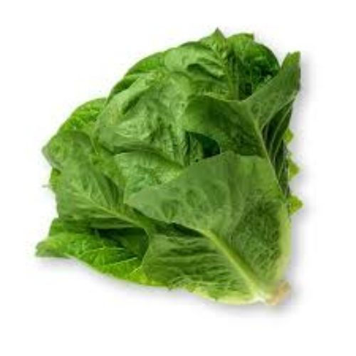 Thumbnail: Lettuce Romaine