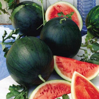 Thumbnail: Summer Vegetable Kit -3-3 Packets