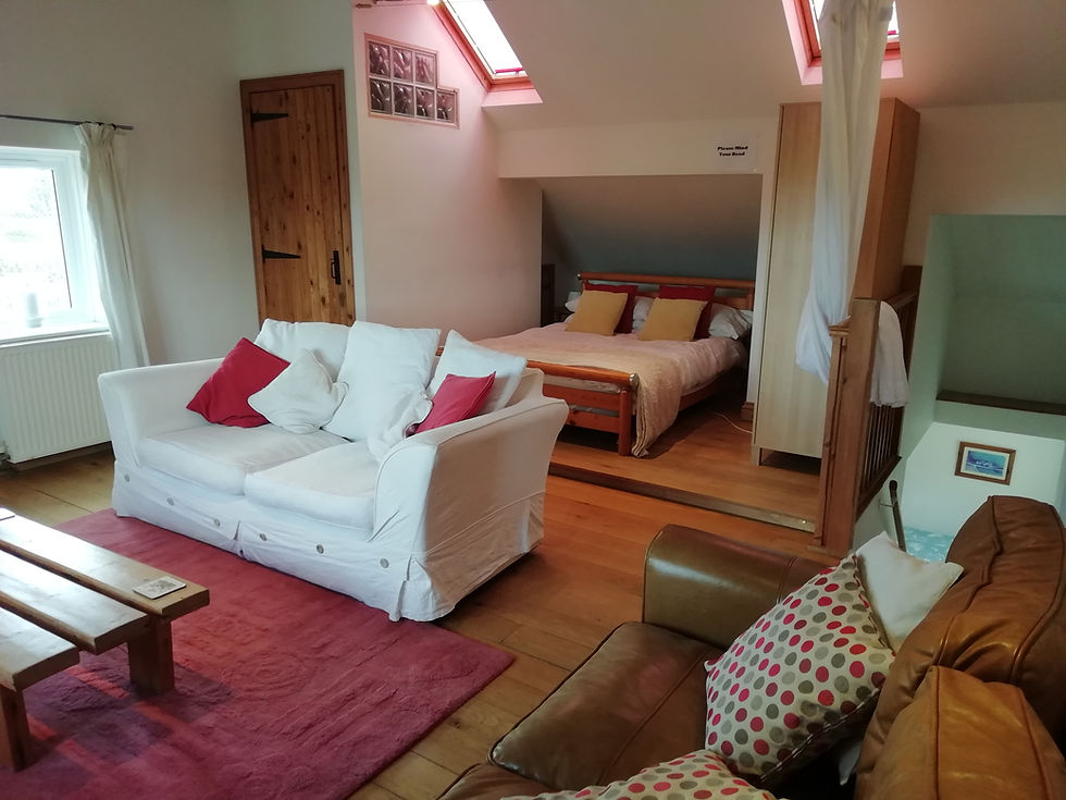 Living/Upstairs bedroom