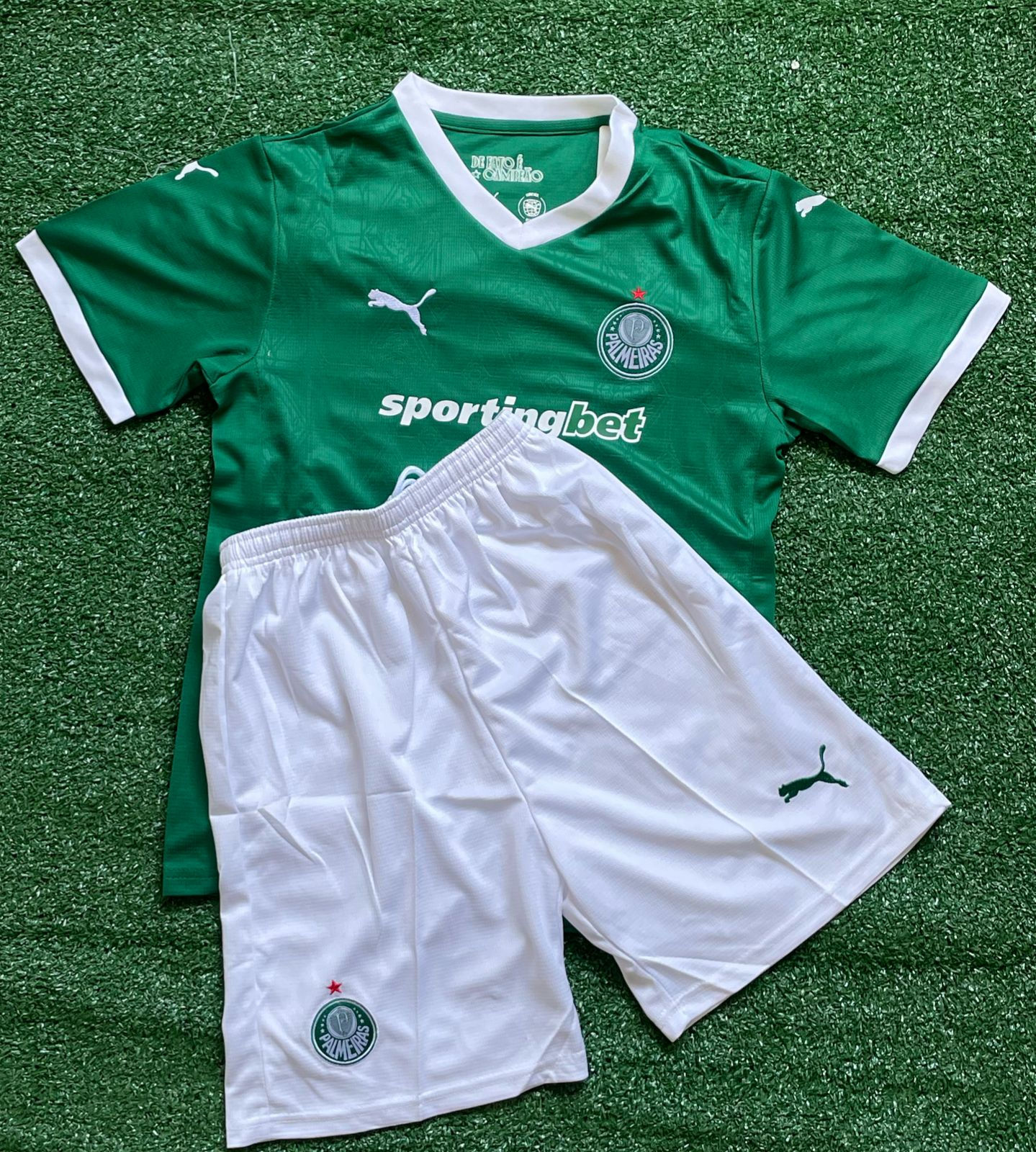 Kit infantil Palmeiras 25/26