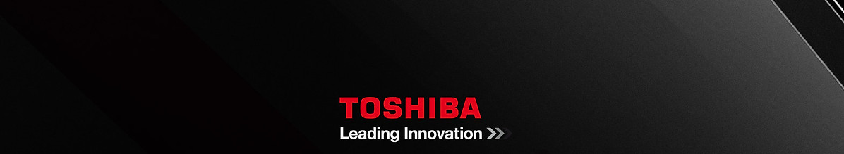 Toshiba eStudio Black and White Copier