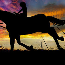 Horse and rider cross the High Country at Dawn.