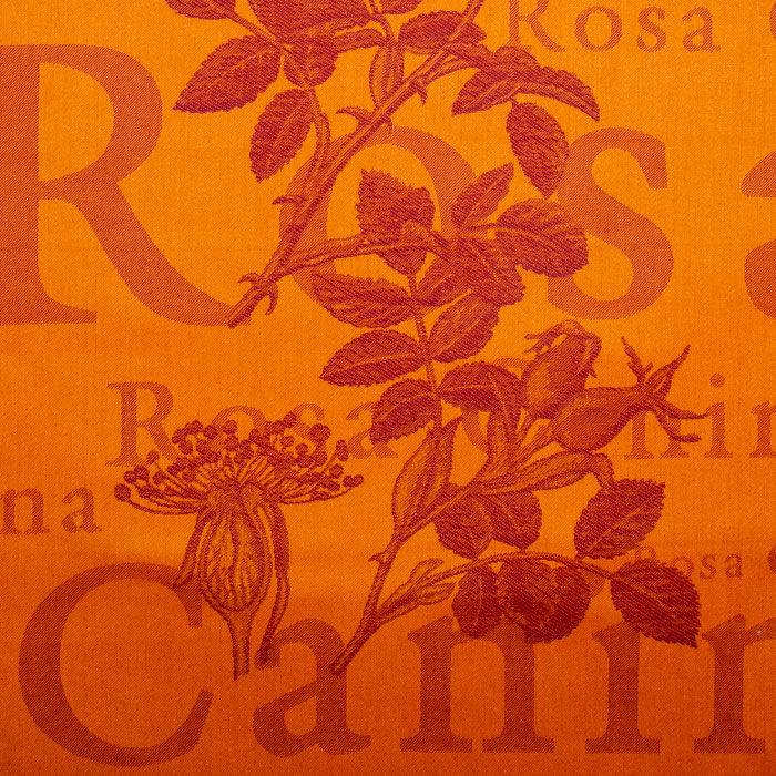 Miniatura: Canovaccio in fiandra di puro cotone - Rosa canina