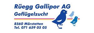 Riemenpartner EST2023 - Rüegg Gallipor
