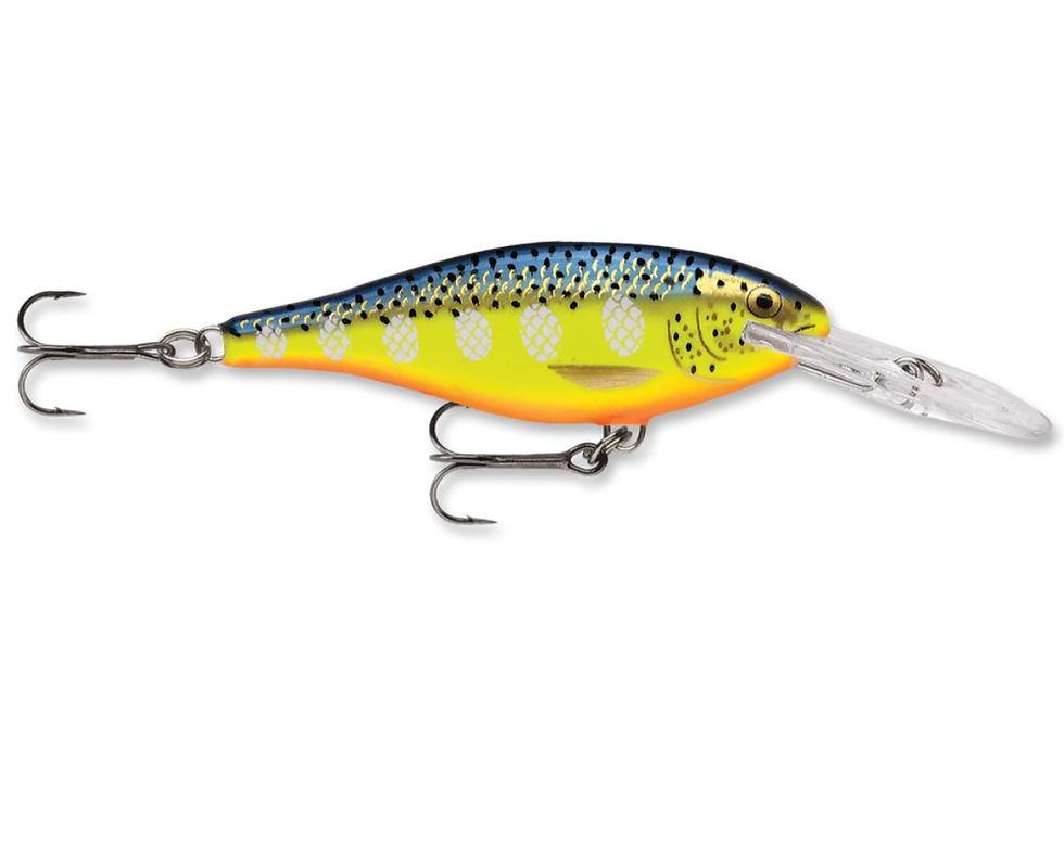 Thumbnail: RAPALA SHAD RAP