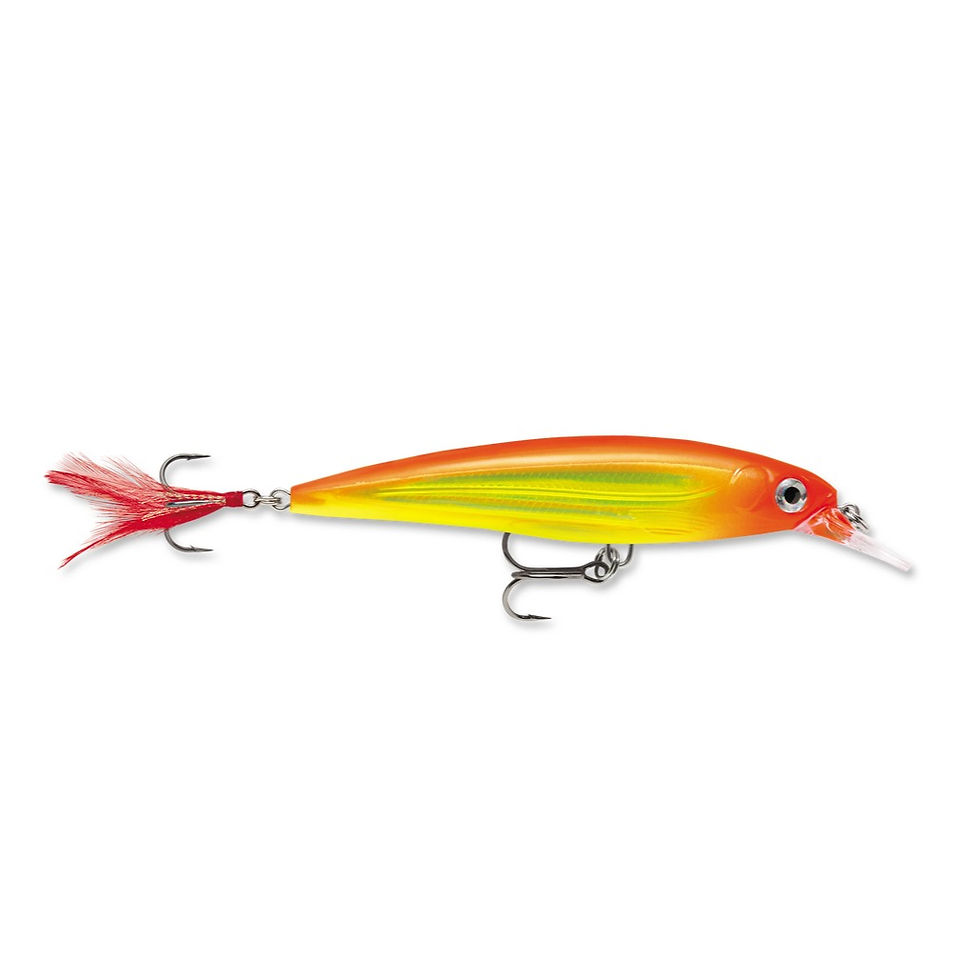 Thumbnail: RAPALA X-RAP