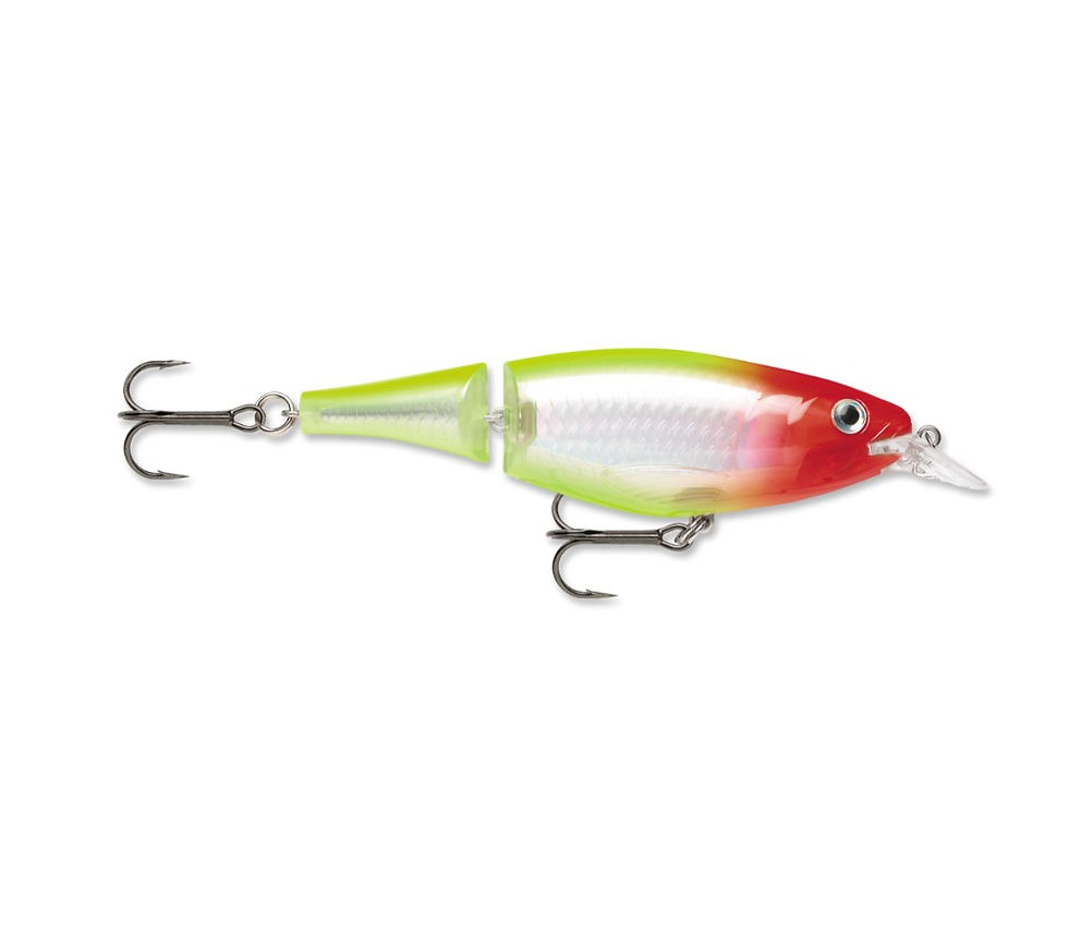 Thumbnail: RAPALA X-RAP JOINTED SHAD