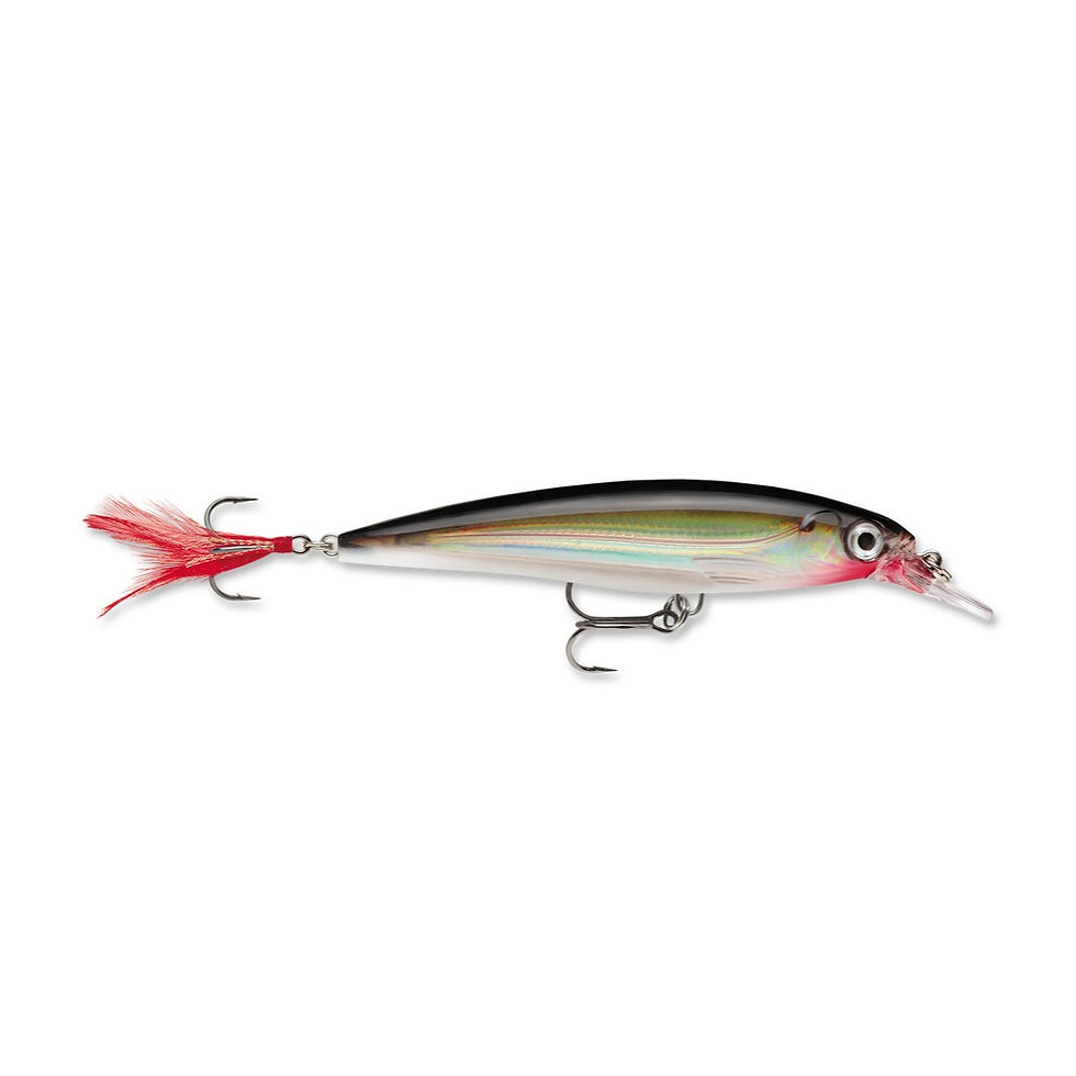 Thumbnail: RAPALA X-RAP