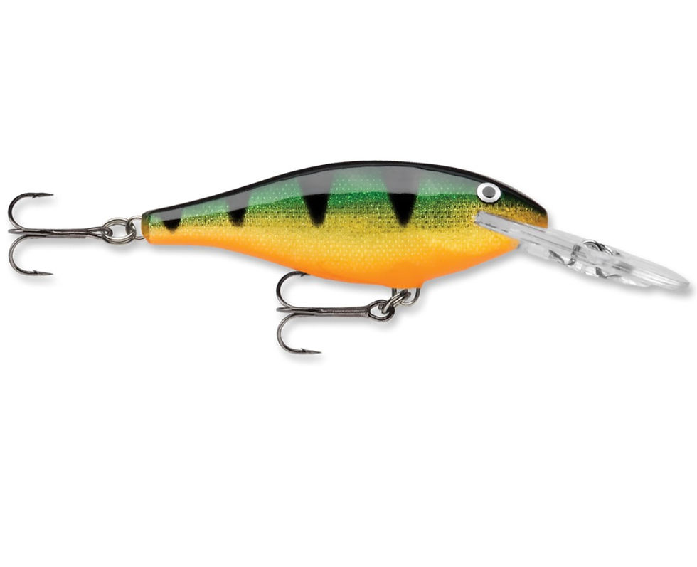 Thumbnail: RAPALA SHAD RAP