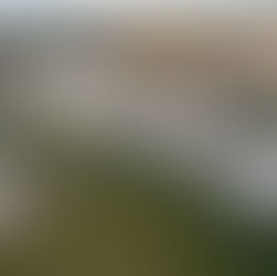 Premcor Successfully Completes Forward Sale of Catalyst Site