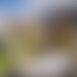 HOWARTH LITCHFIELD AWARDED £5M MASTERPLANNING PROJECT FOR SOUTH TYNESIDE COUNCIL DEPOT