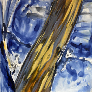 lizzy_simunovic_snowgum