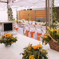 svatební catering
svatba
catering
stolování
catering na mlejnici