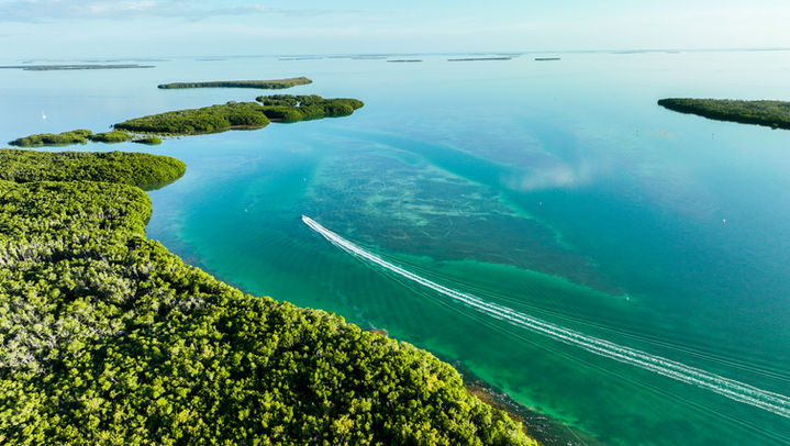 Islamorada-0370.jpg