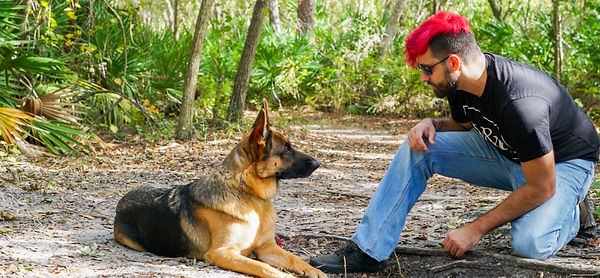The Lex Aspect, Service dog, Lex Rodriguez