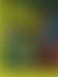 Cine(Musica)-ClubLili Marleen