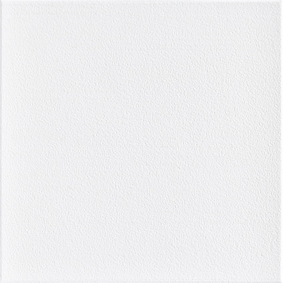 NEVE GRANILHADO 46X46