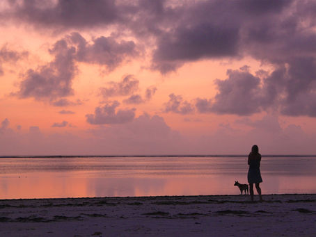When is the best time to visit Tanzania?