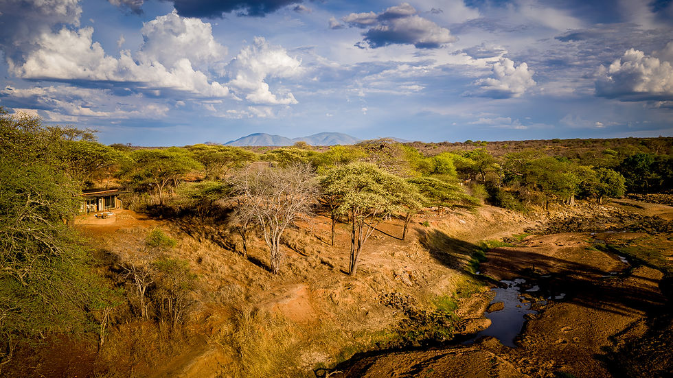 Ruaha.jpg