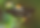 Copy of Untitled Design (1).png