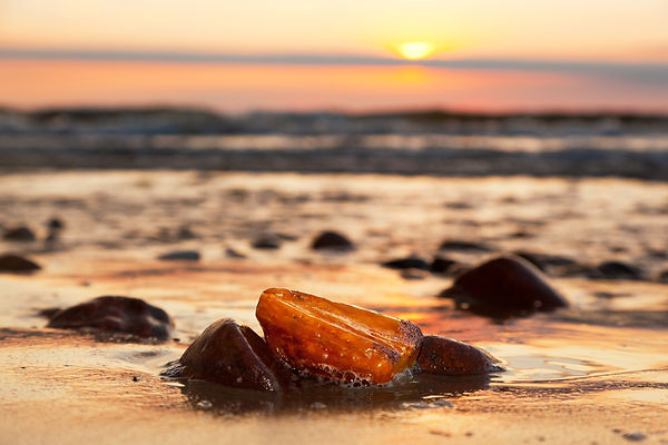 AdobeStock_79309342 (1).jpeg