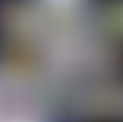 15 VĚCÍ, KTERÉ MI PALEO STRAVOVÁNÍ DALO