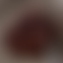 VÁNOCEMI KOŘENĚNÉ KEŠU OŘÍŠKY