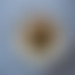 SKOŘICOVÉ DUŠENÉ HOVĚZÍ S POMERANČOVOU GREMOLATOU