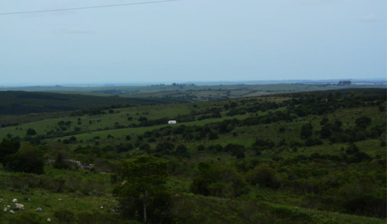 image (2).png