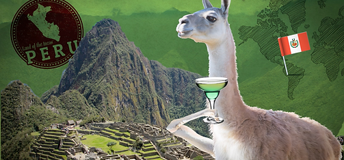 Screen Shot 2021-03-12 at 2.10.57 PM.png