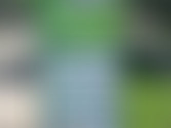 ウィーン旅行 その3