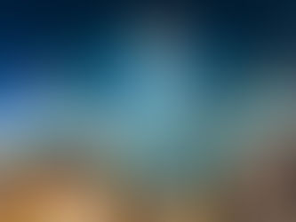 JURISPRUDENCE : État des risques : rapport incomplet, la vente est annulée